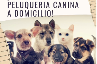 Peluquería Canina a Domicilio