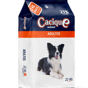 Cacique Adulto de 22 kg