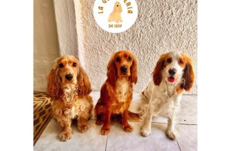 La Guardería de Susy – Zona Parque Batlle Montevideo