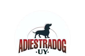 ADIESTRADOR PROFESIONAL 🦮