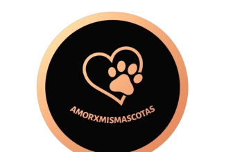 Estética felina, canina y conejos- Centro de Montevideo