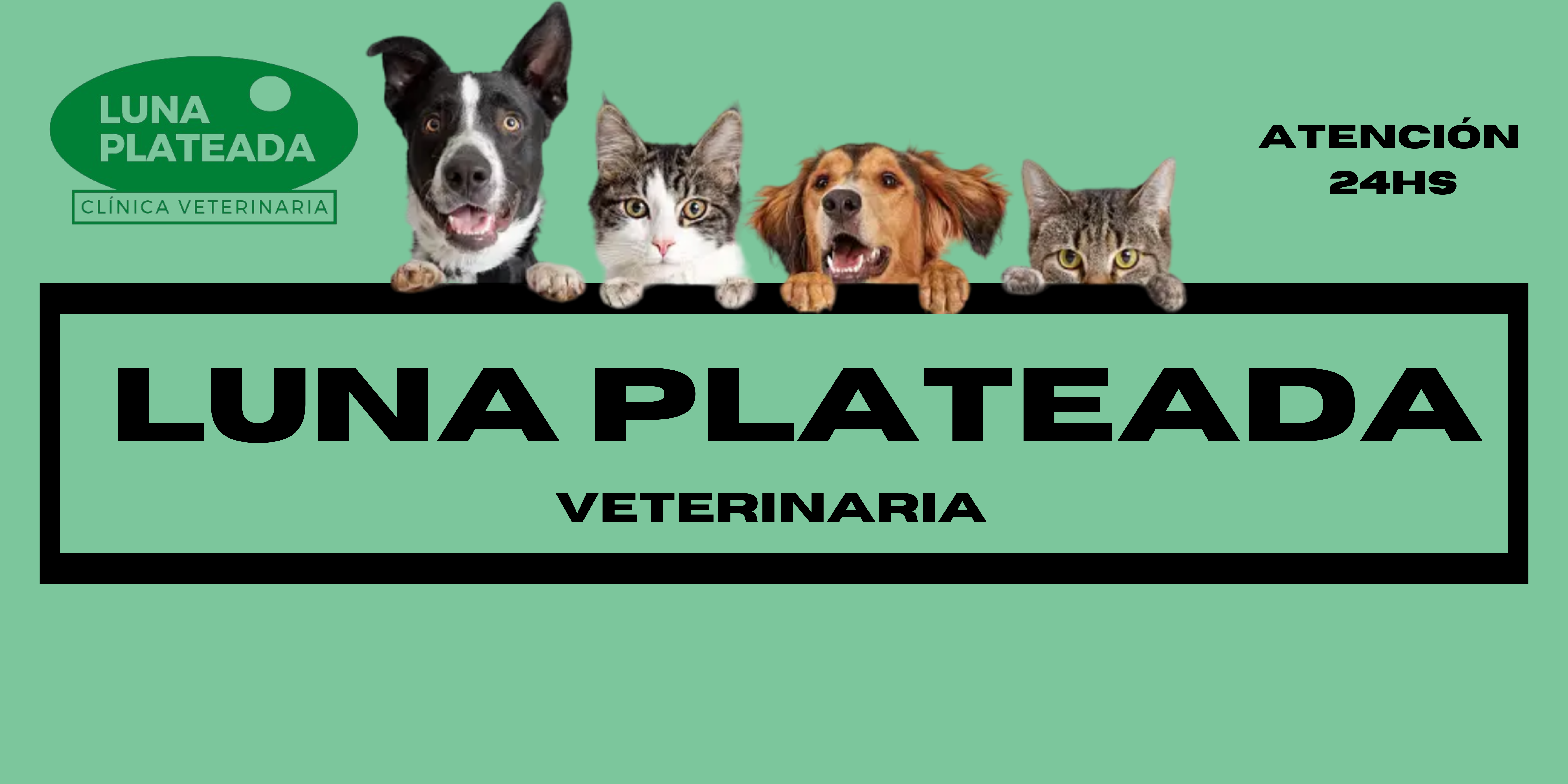 Veterinaria Luna Plateada