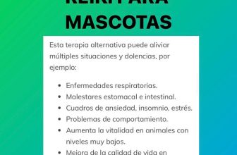 REIKI a distancia PARA MASCOTAS