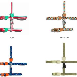 Collares + Correa Gatos Zee Cat