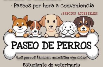 Paseos grupales o individuales- MONTEVIDEO