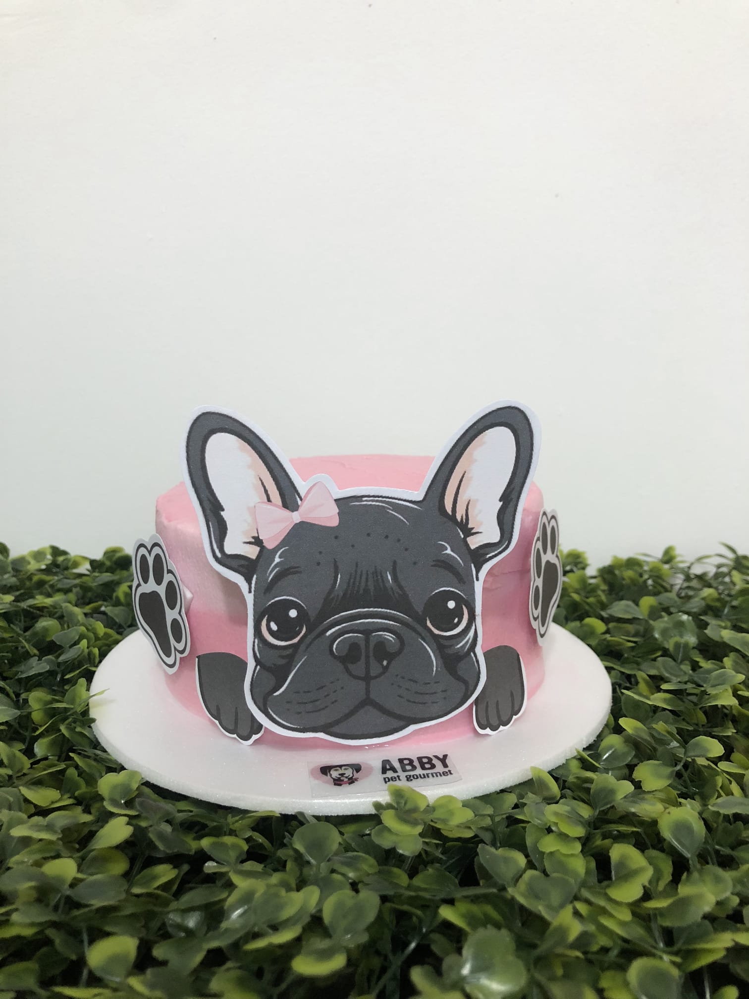 Tortita Pet Mediana