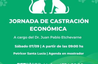 CASTRACIONES ECONOMICAS