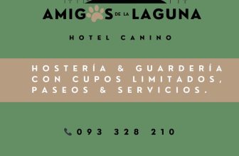 Hotel Canino – LAGUNA – MALDONADO