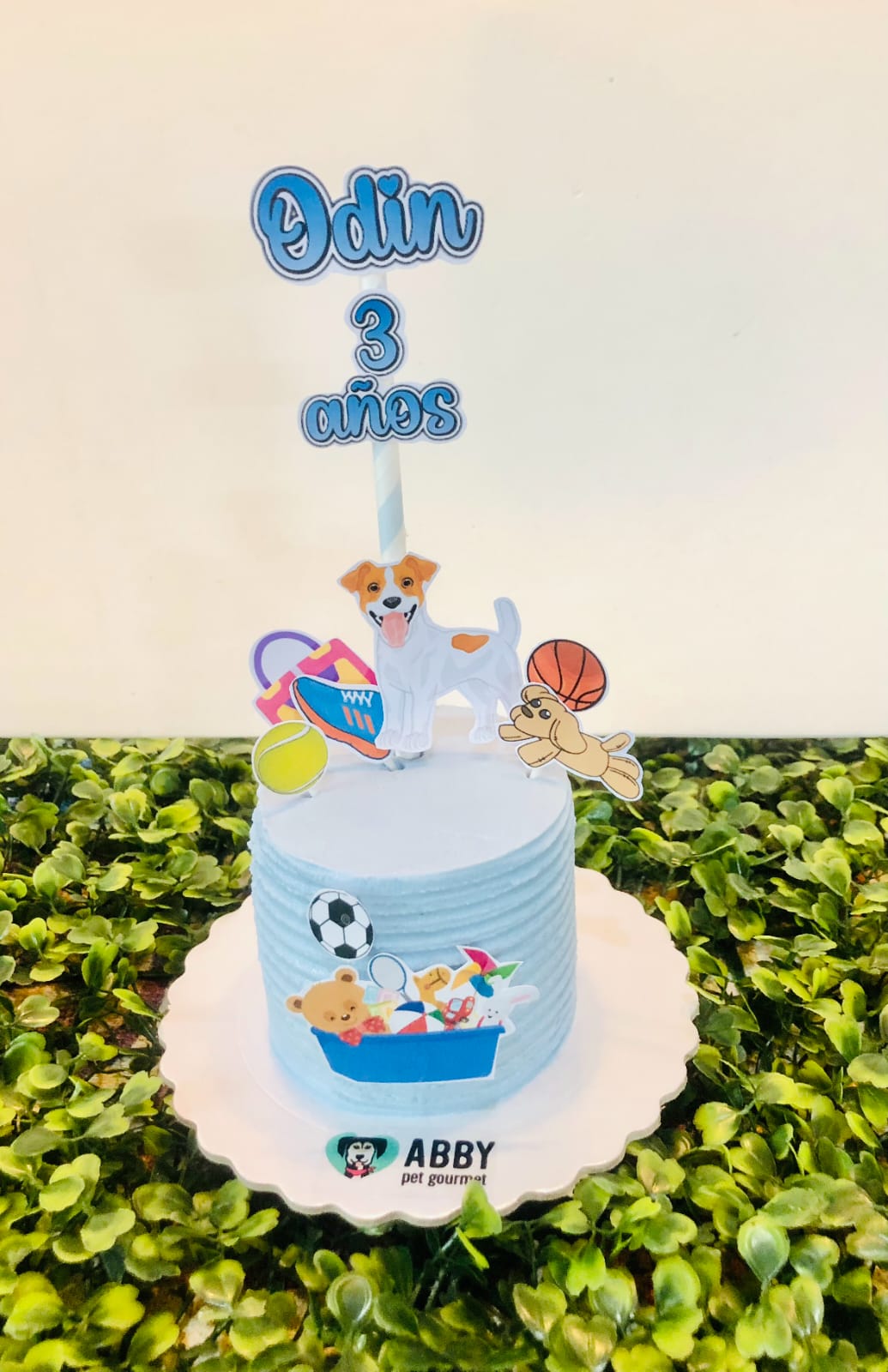 Tortita Pet Mini