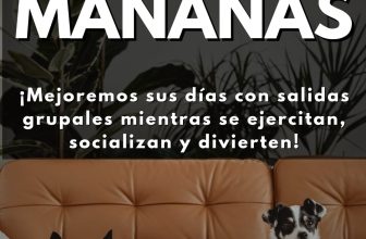 Paseos en Pocitos, Villa Biarritz y Punta Carretas