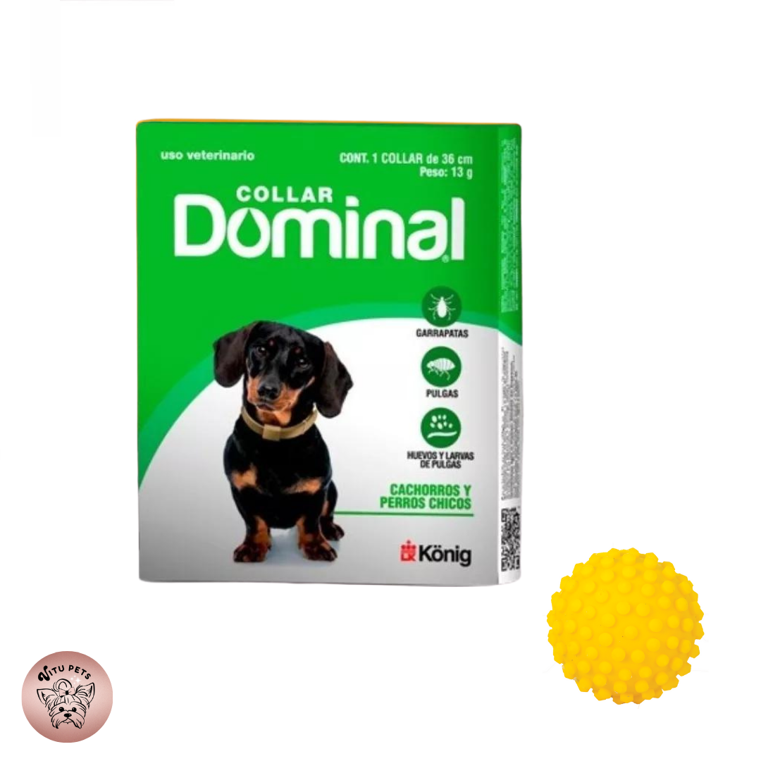 Collar Dominal anti-pulgas para perro chico + pelota de regalo