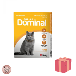 Collar Dominal anti-pulgas para gatos + collar bandana fantasia de regalo
