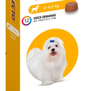 Pastilla antiparasitario para garrapata MSD Bravecto Comprimido Masticable Bravecto.