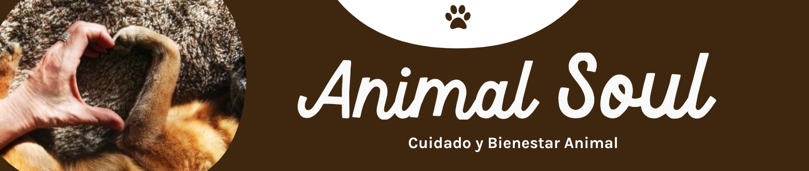 Animal Soul Animal Soul
