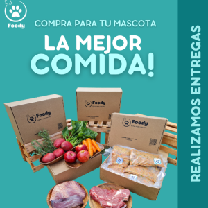 Foody Gatos – Pollo