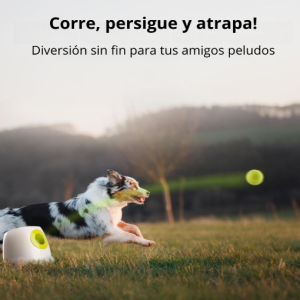 Lanzador de pelota automático