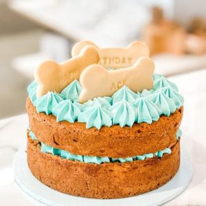 Torta de Cumpleaños perro o gato 15 cms de diámetro