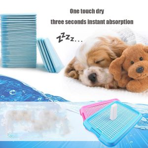 Set de 20 pañales talle XL