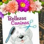 Bellezas Caninas