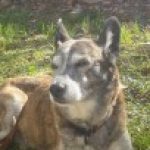 Foto del perfil de collindant3juan