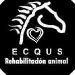 Foto del perfil de Ecqus ONG