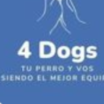 4dogs