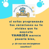 Hotel Canino Angairú en Rocha