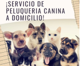 Peluquería Canina a Domicilio