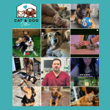 Cat&Dog | Bernardette Farias –  MONTEVIDEO