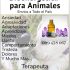 Animals Cuidado de Mascotas MONTEVIDEO