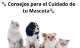 Consejos para el cuidado de tu mascota!