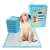 Pañales Entrenamiento Mascotas 60x60cm Sabanilla Absorbente x40 unidades NALA